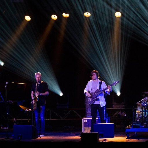 Yellowjackets