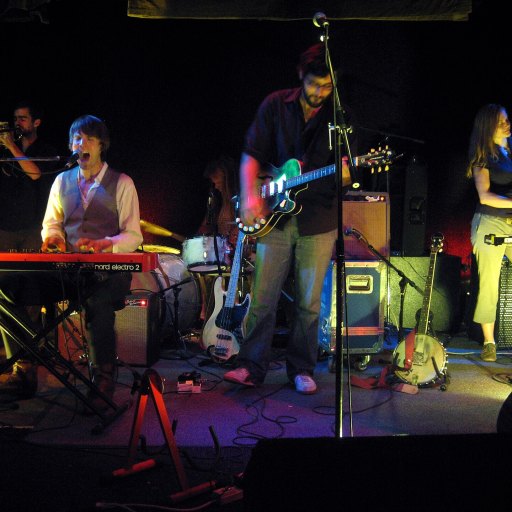 Shearwater